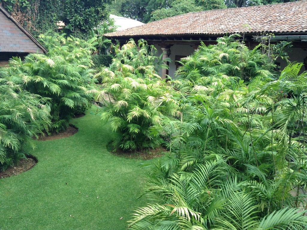 Hacienda San Pedro Otel Uruapan  Dış mekan fotoğraf